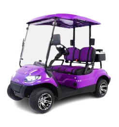New Golf Carts for sale in Brandon, FL